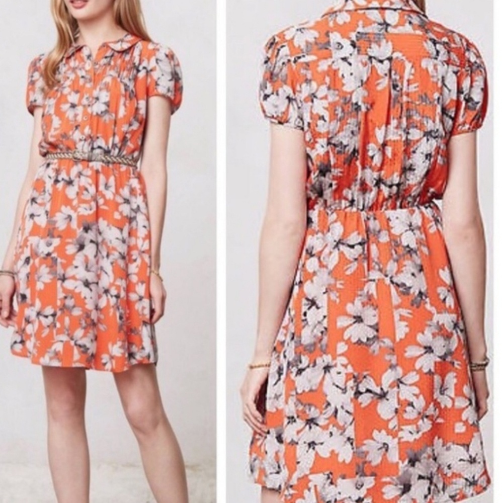 Maeve collared dress